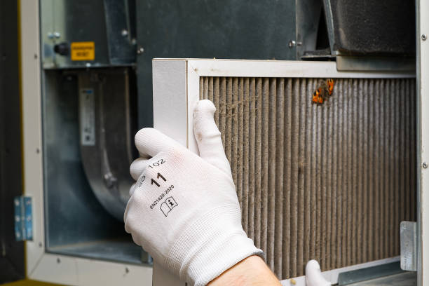 Best Ductwork Cleaning Services  in Stokesdale, NC